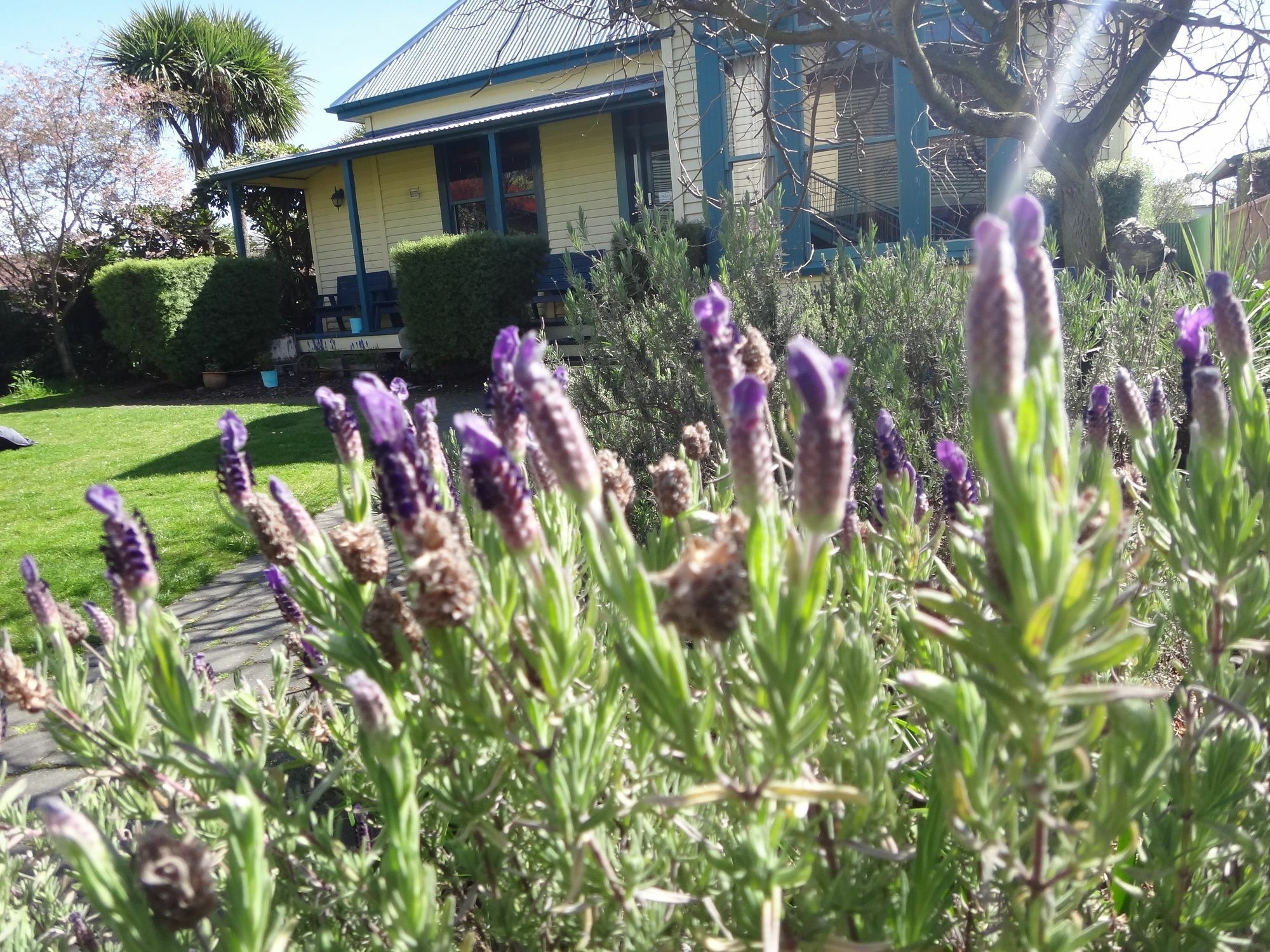 The Old Countryhouse Christchurch Esterno foto